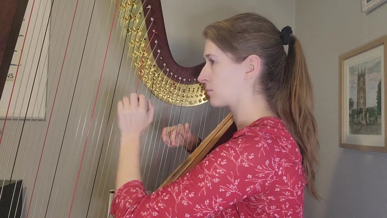 HYHE Practice Video: The Look Off - Harp 2