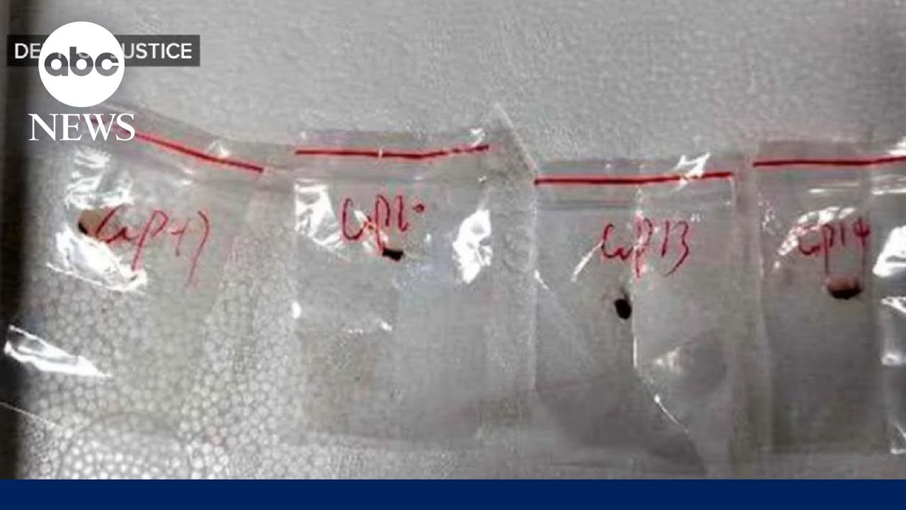 2 Chinese nationals arrested for smuggling &lsquo;potential agroterrorism&rsquo; fungus