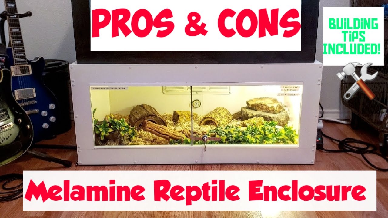 Melamine Reptile Enclosure (Pros and Cons)