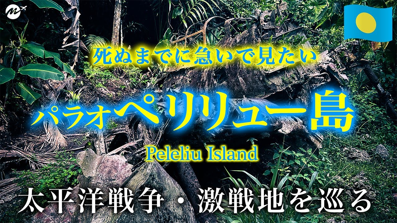 【ペリリュー島】日本語を話す島！パラオ共和国3泊4日旅行ペリリュー編-終わりなき持久戦…地獄の戦場に残された戦跡【グルメ】【ちょいもーりー】