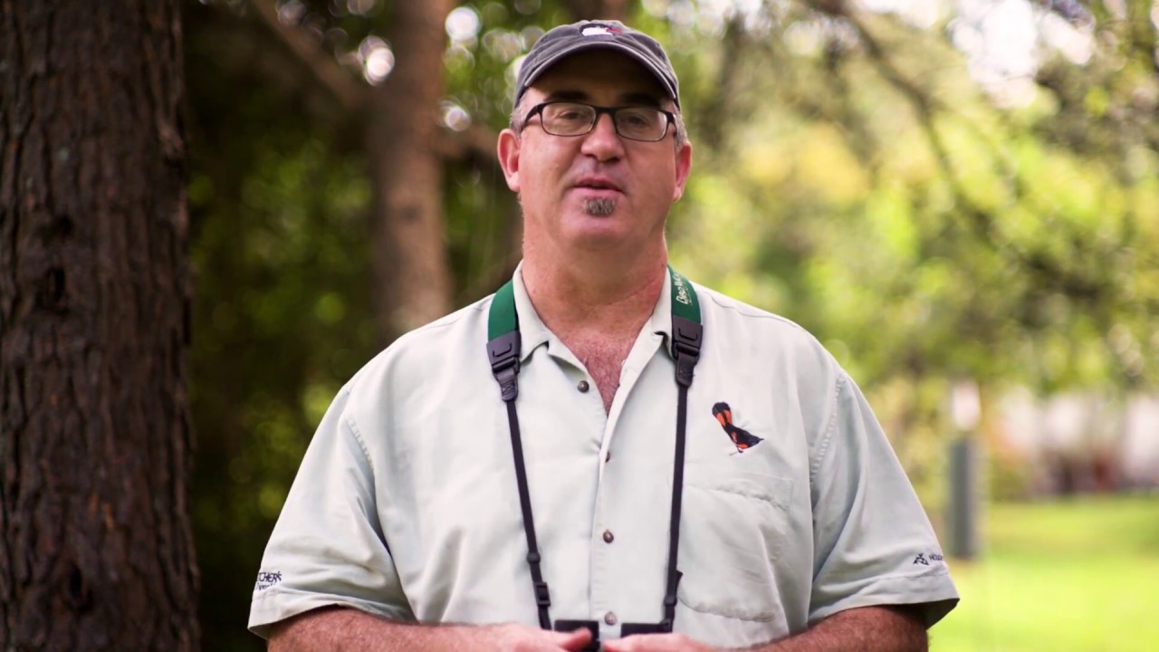 Birding Basics & Beyond: Birding by Habitat