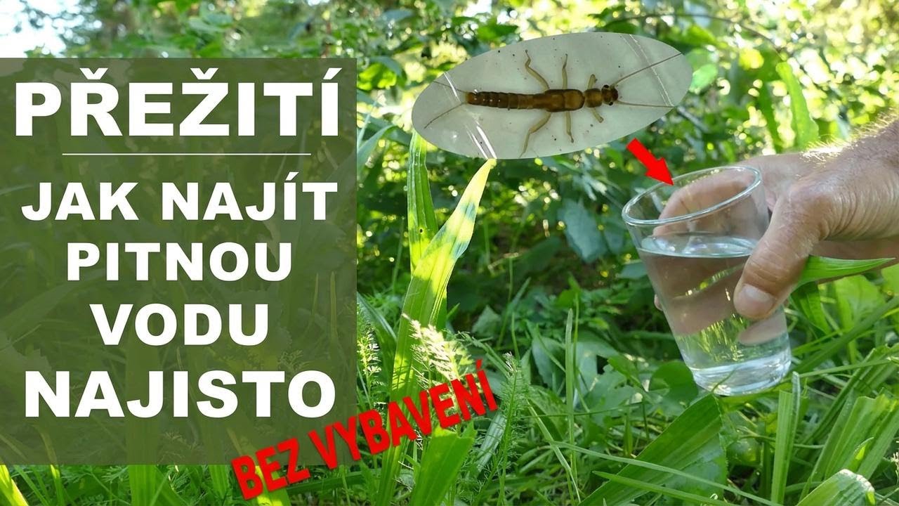 Jak najít pitnou vodu v přírodě bez vybavení