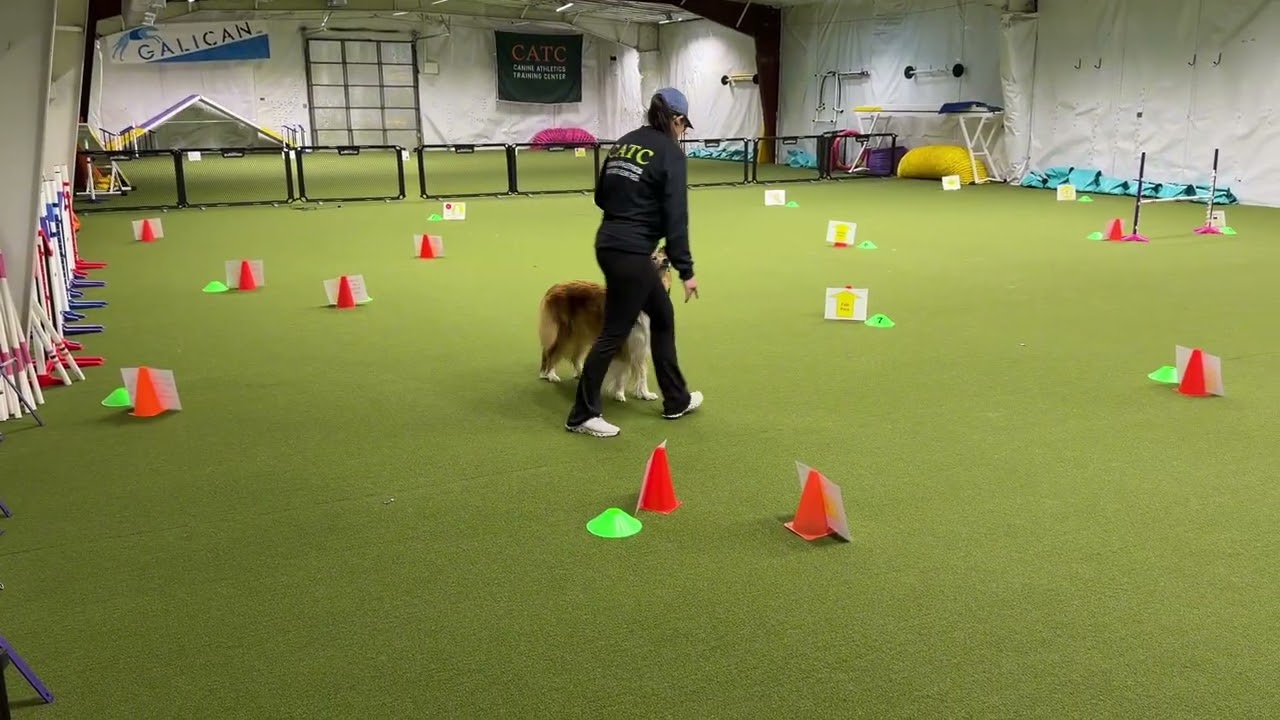 Jae and Dashi Rally Virtual Excellent Course #1