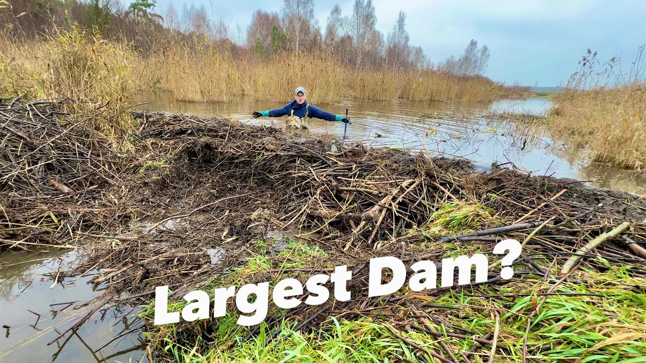 This Dam Never Been SOO BIG!