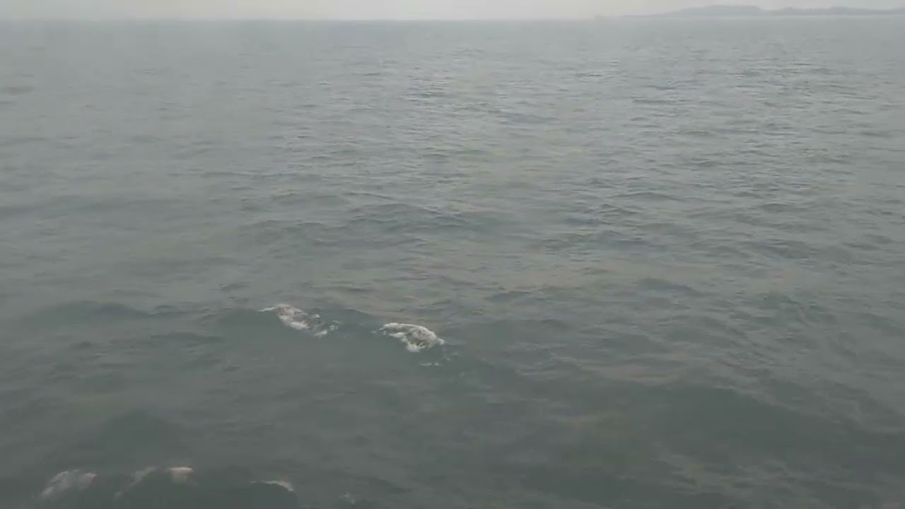 Ship in bahasa Indonesia kapal