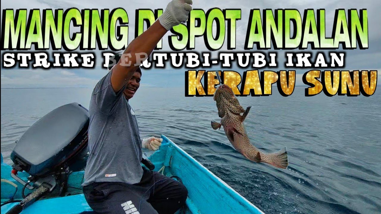 Sambaran bertubi-tubi dari kawanan Kerapu SUNU...mancing di spot andalan