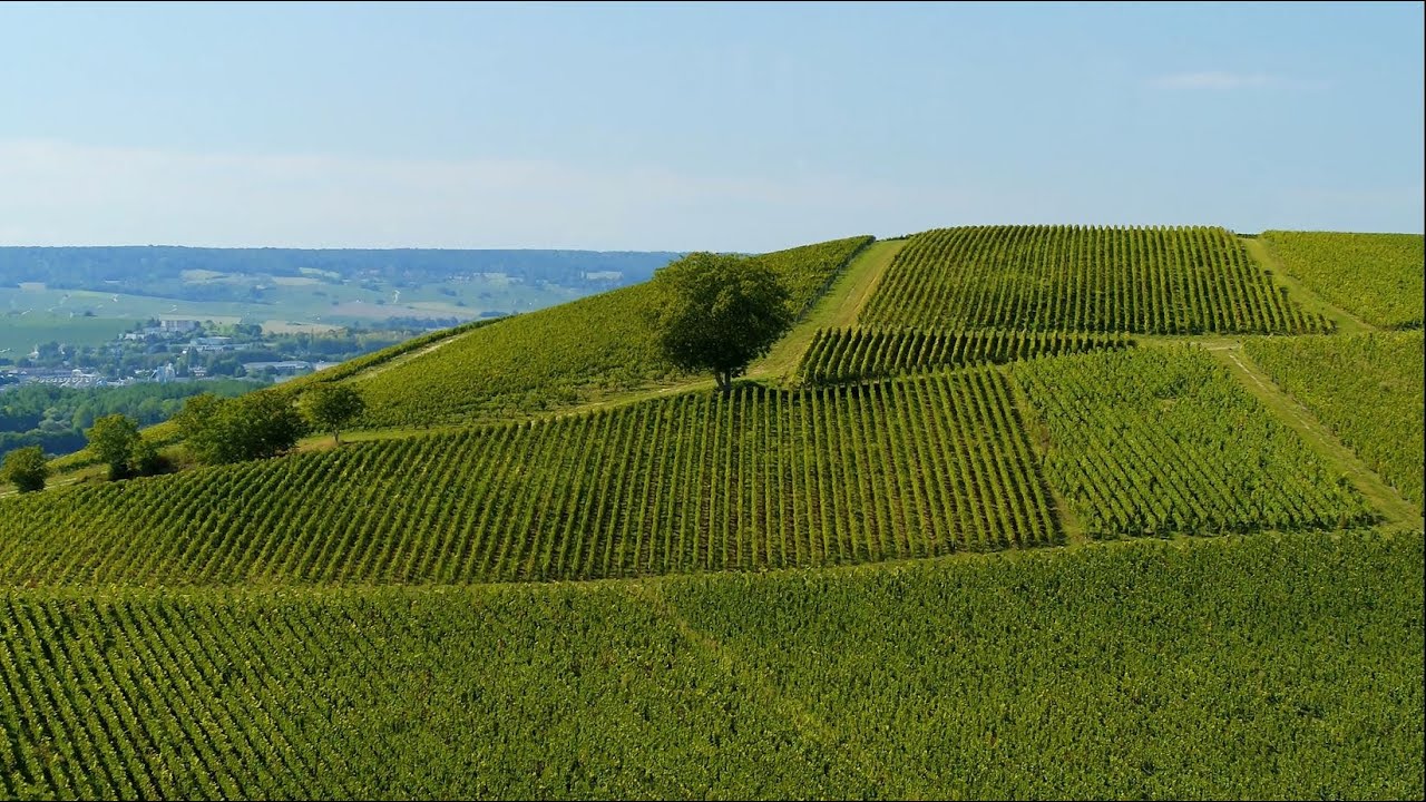 MANOIR HENRI GIRAUD