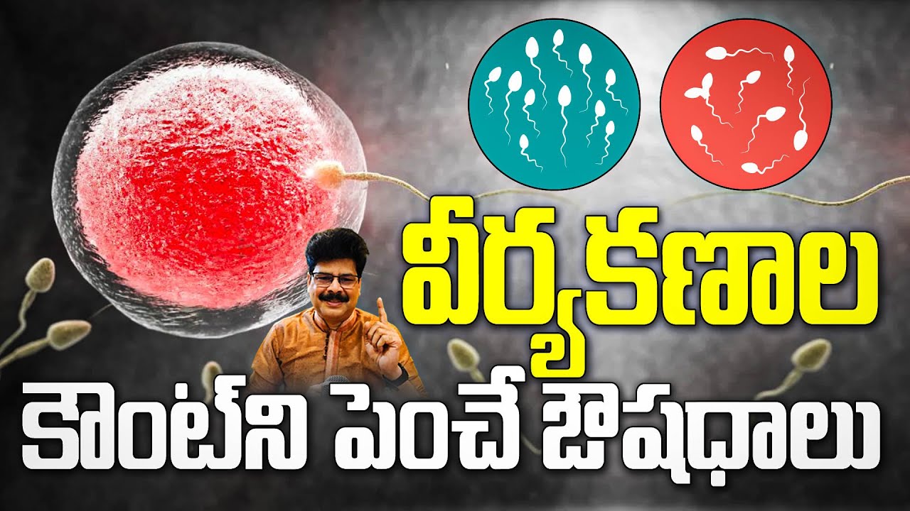 మగవారిలో వీర్య కణాలను మిలియన్లకొద్దీ పెంచే మూలికలు! Improve Sperm Count and Quality Naturally