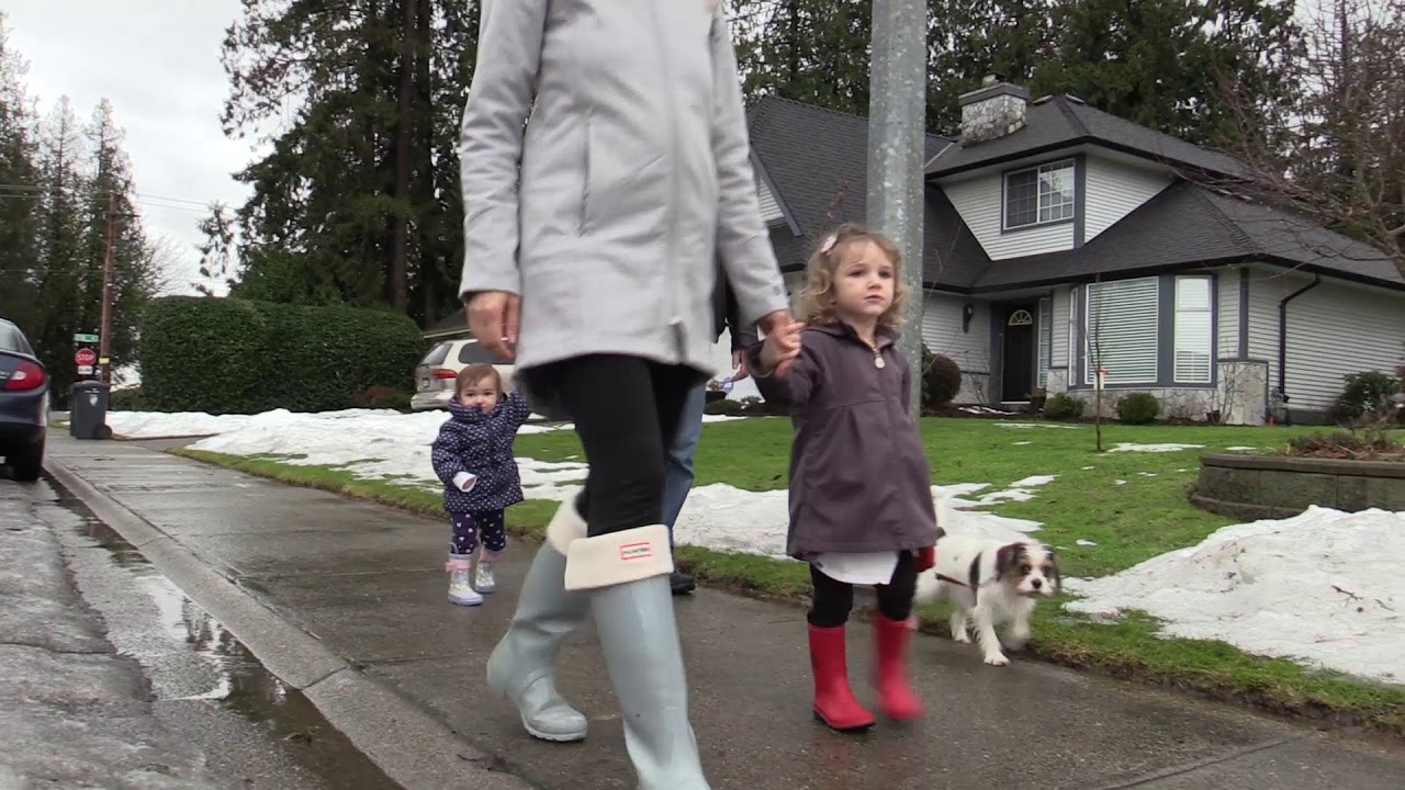 Proposed Langley interchange upsets Walnut Grove residents