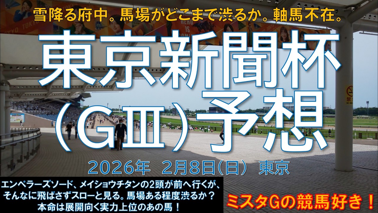 【東京新聞杯】雪降る府中。馬場がどこまで渋るか。軸馬不在。＃エルトンバローズ＃ウォーターリヒト＃エンペラーズソード＃トロヴァトーレ＃ラヴァンダ＃オフトレイル（2月8日　東京11R）