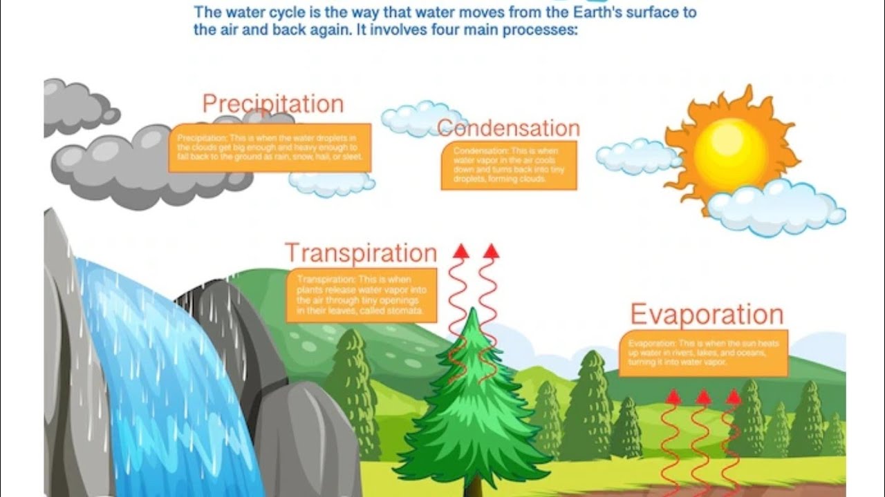 What Is Hydrology In Civil Engineering?
