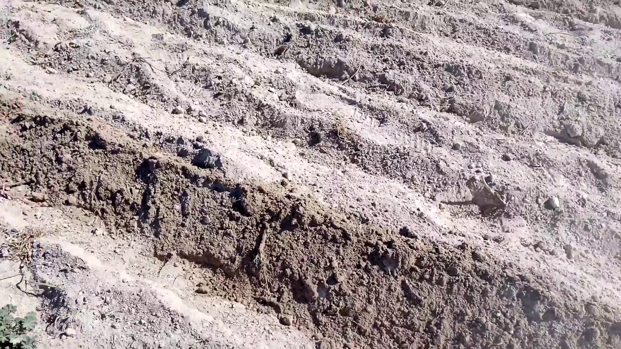 Bici arado, sus complementos.