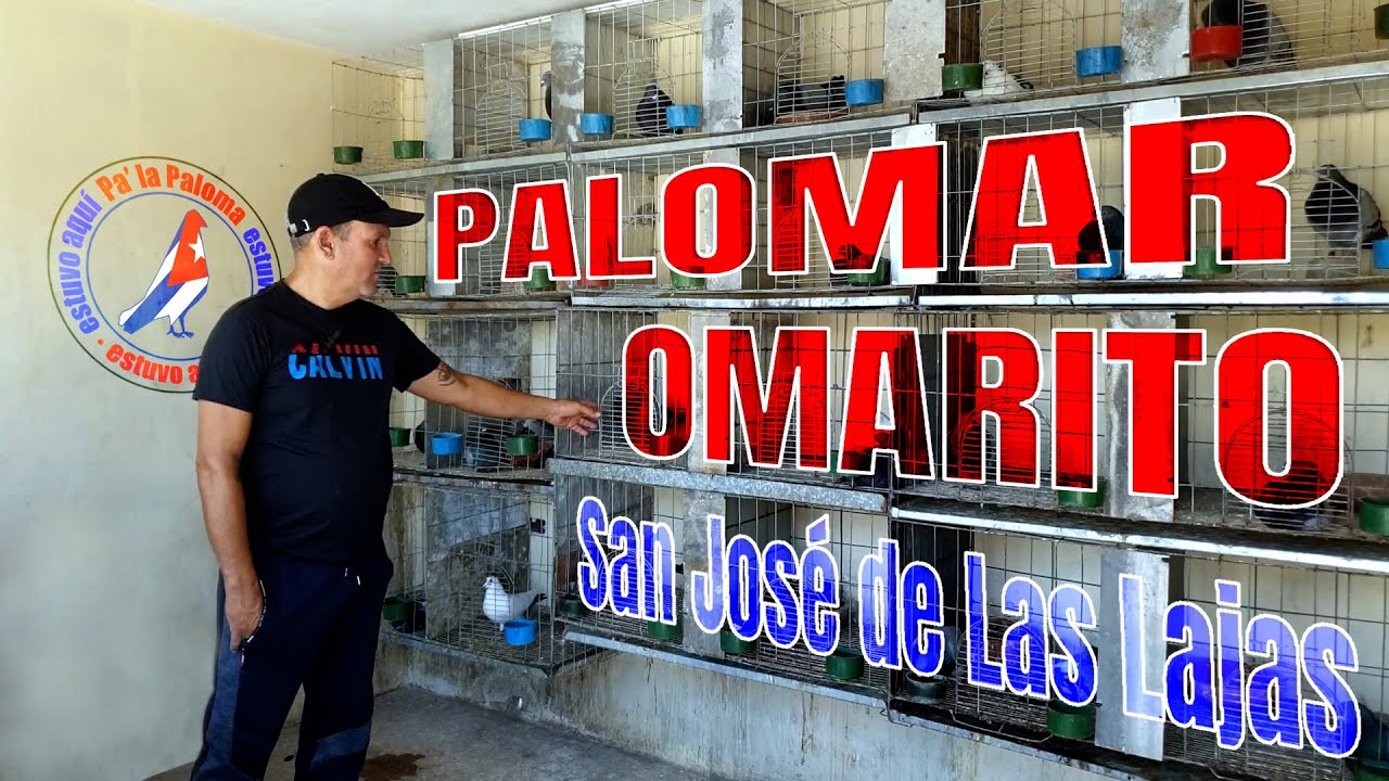 Palomar de Omarito en SAN JOSE