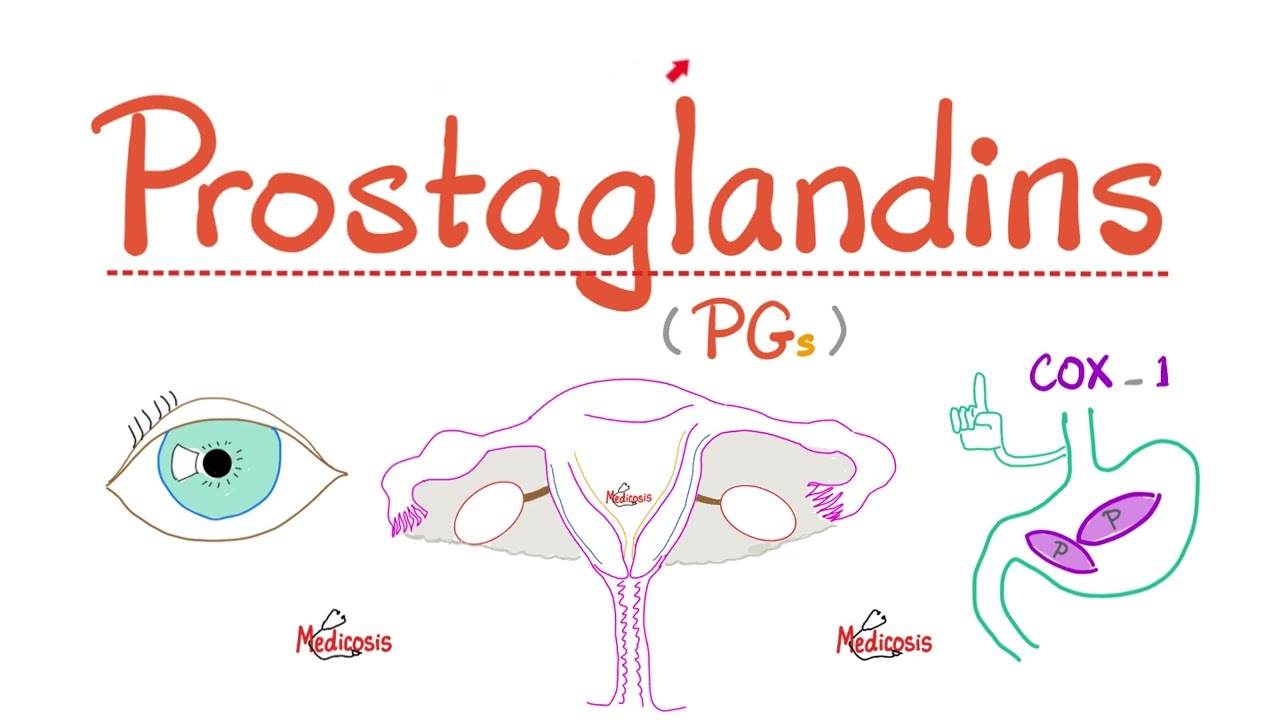 Prostaglandyny - PGE2, PGG2, GH2, PGI2, PGF2, Tromboksan A2 (TXA2) - Analogi prostaglandyn - Ścieżka