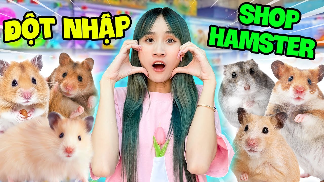 Chuột Hamster Giá Bao Nhiêu Tiền | Đột Nhập Shop Hamster - Vê Vê Animal