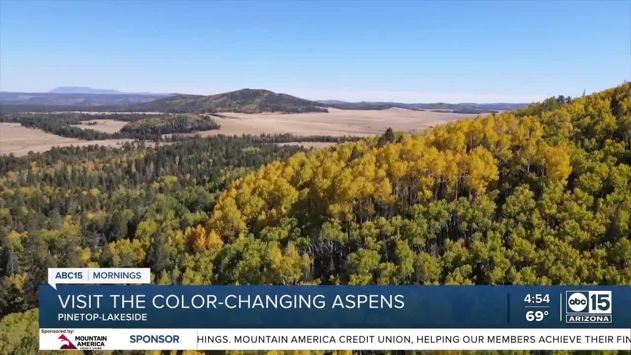 Pinetop-Lakeside puts on dazzling show of fall foliage in Northern AZ