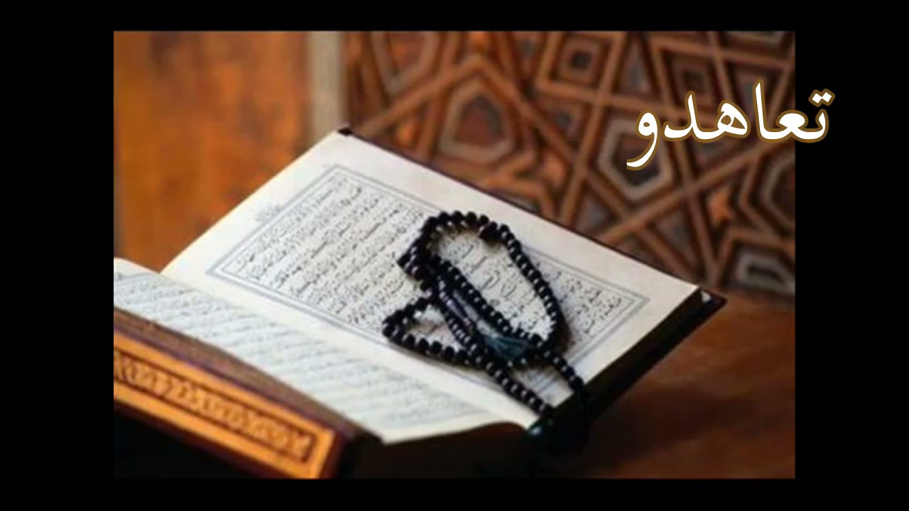 كيف اراجع بطريقة صحيحة  وما الفرق بين الحفظ والمراجعة