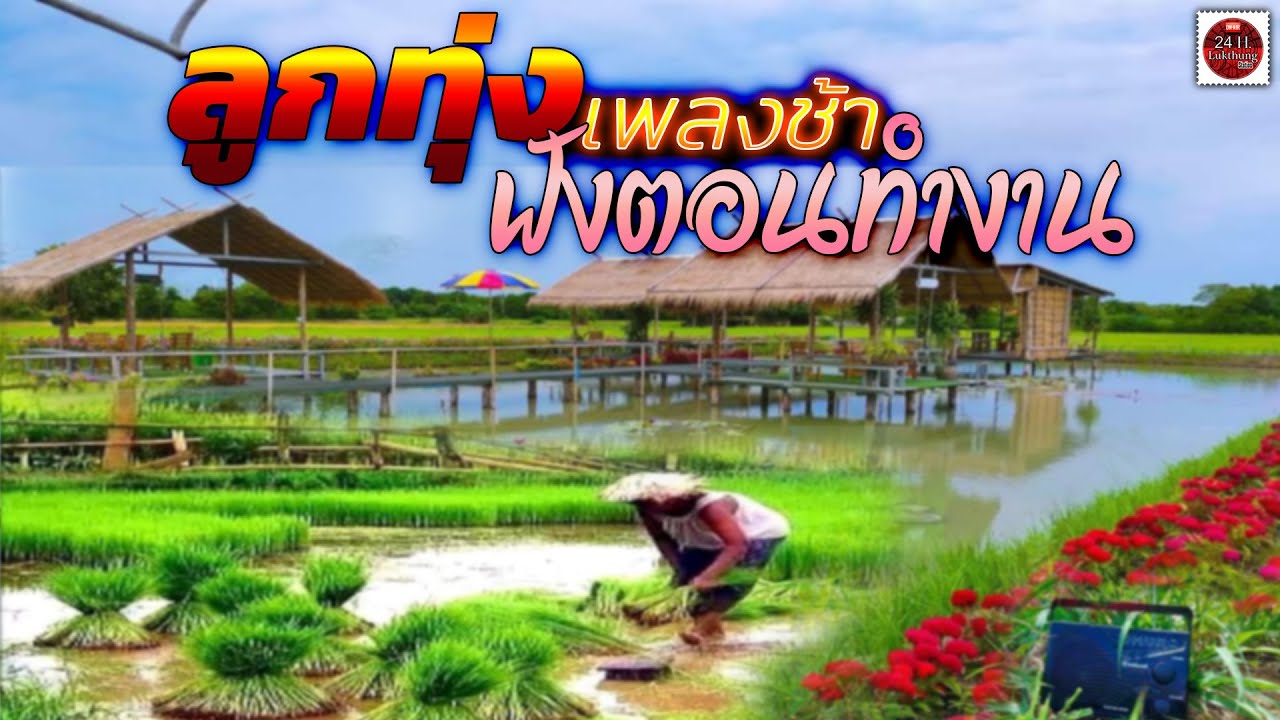 ลูกทุ่งเพลงช้าฟังตอนทำงาน