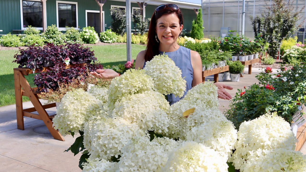 A Sneak Peek of New Shrubs from Proven Winners | Gardening with Creekside