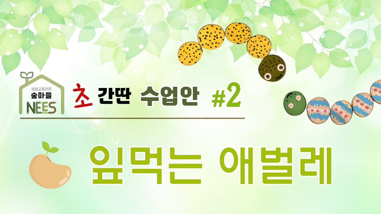 [초간단생태수업안 2]  잎먹는 애벌레