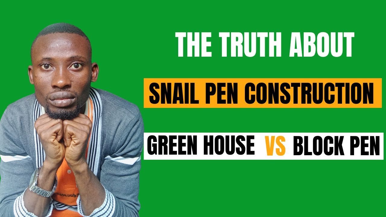 Best Pen Construction for Snail Farming | Snail Farming for Beginners 