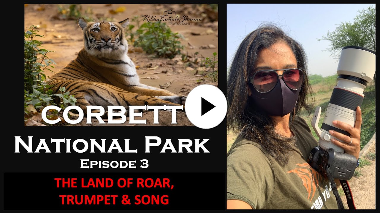 Corbett National Park
