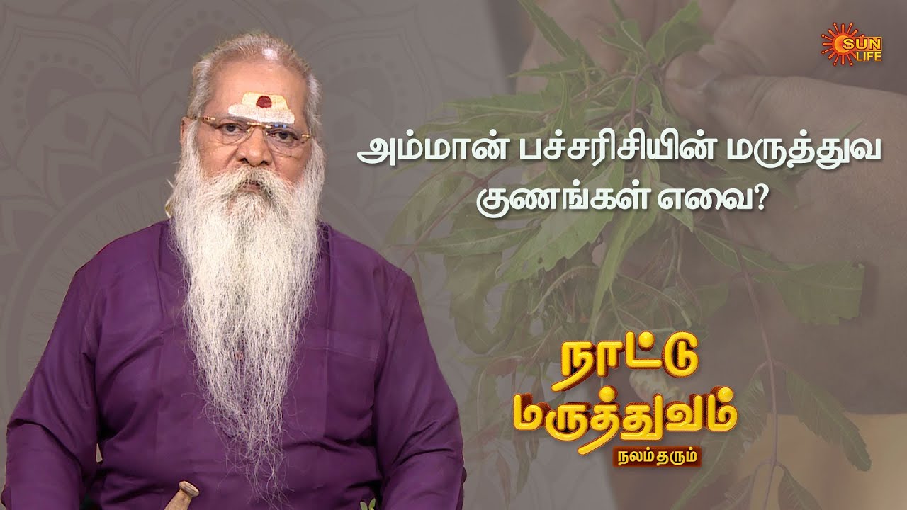 Medicinal Benefits & Uses of Euphorbia hirta (அம்மா பச்சரிசி) | Naattu Maruthuvam | Sun Life