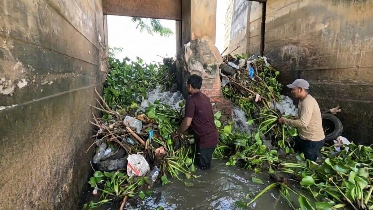 Satisfying Culvert Cleaning – Huge Water Flow After Unclogging Drain