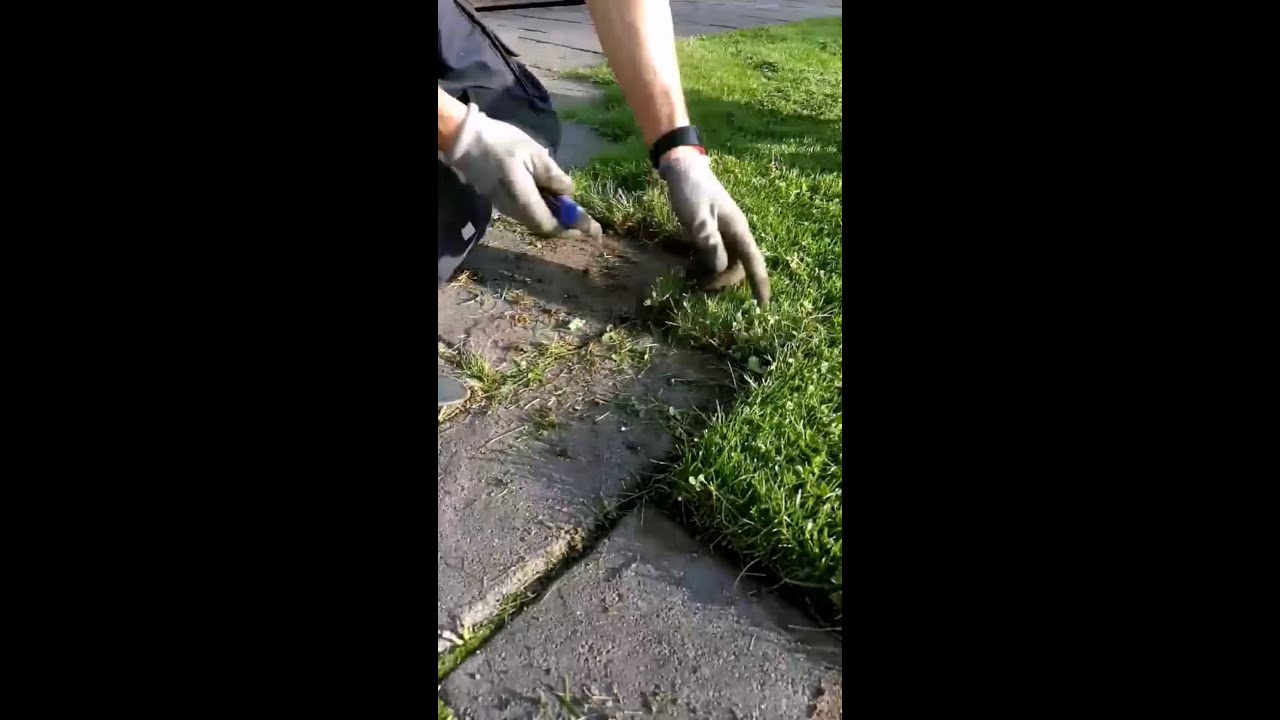 Pihakiveyksen nurmikkoreunan puhdistus