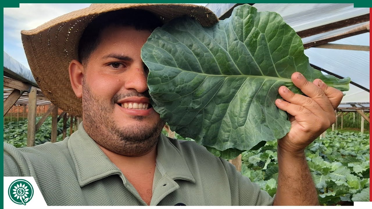 ESSE É O SEGREDO DA HORTA!