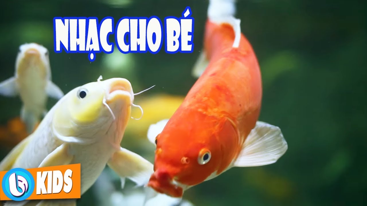 C&aacute; V&agrave;ng Bơi, Con Heo Đất - Nhạc Thiếu Nhi Vui Nhộn Hay Nhất