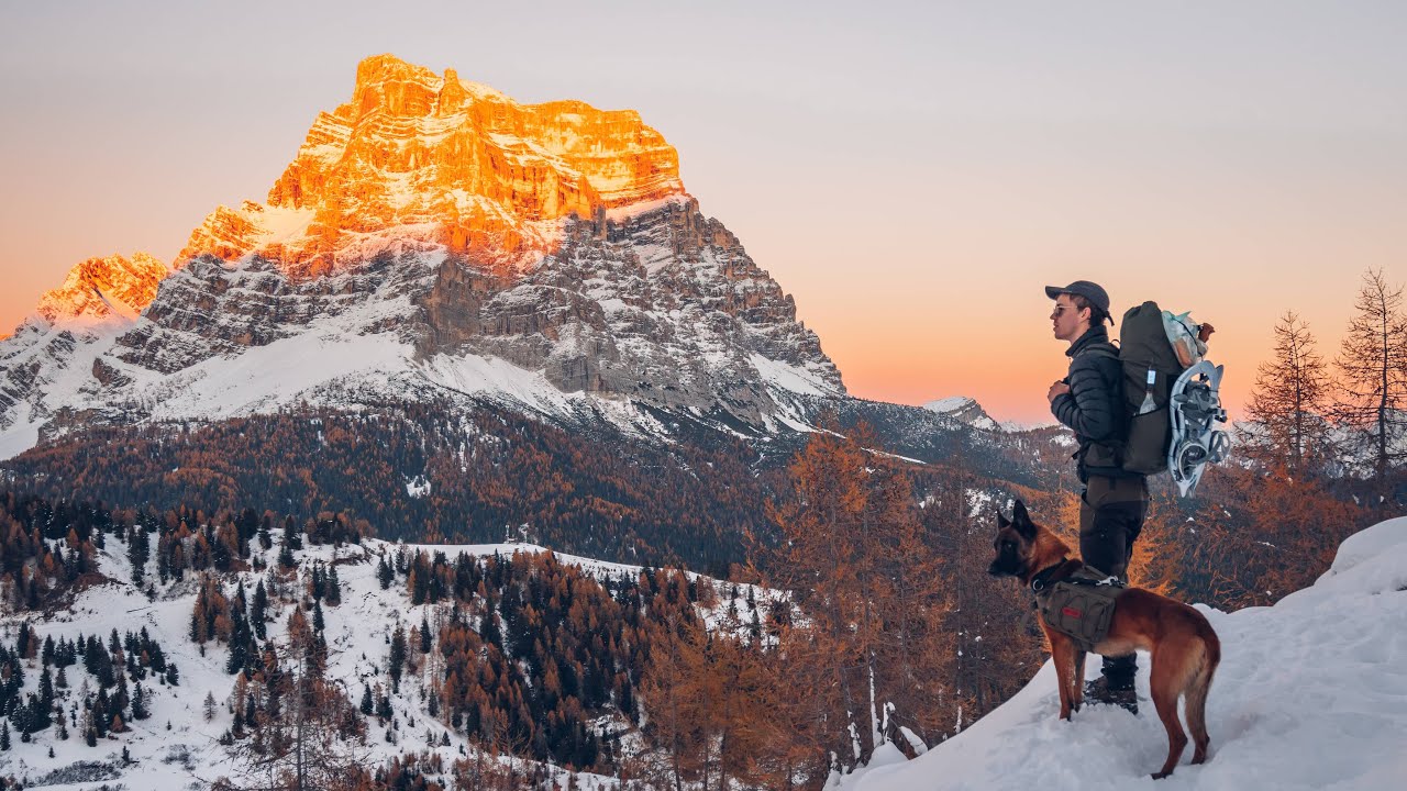 Hiking Alta Via 1 Dolomites With My Dog In Snow