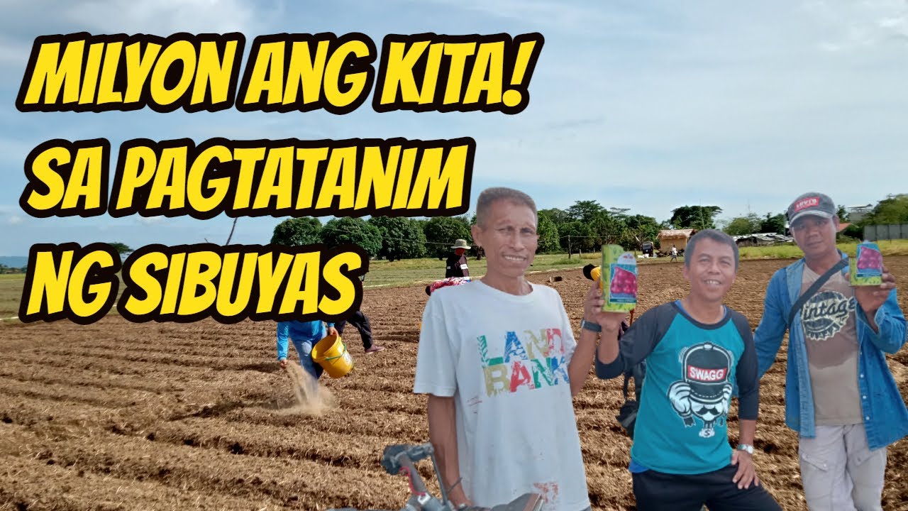 MAGKANO ANG GASTOS SA PAGTATANIM NG SIBUYAS (RED PINOY ONION)  @ImeeMarcosOfficial