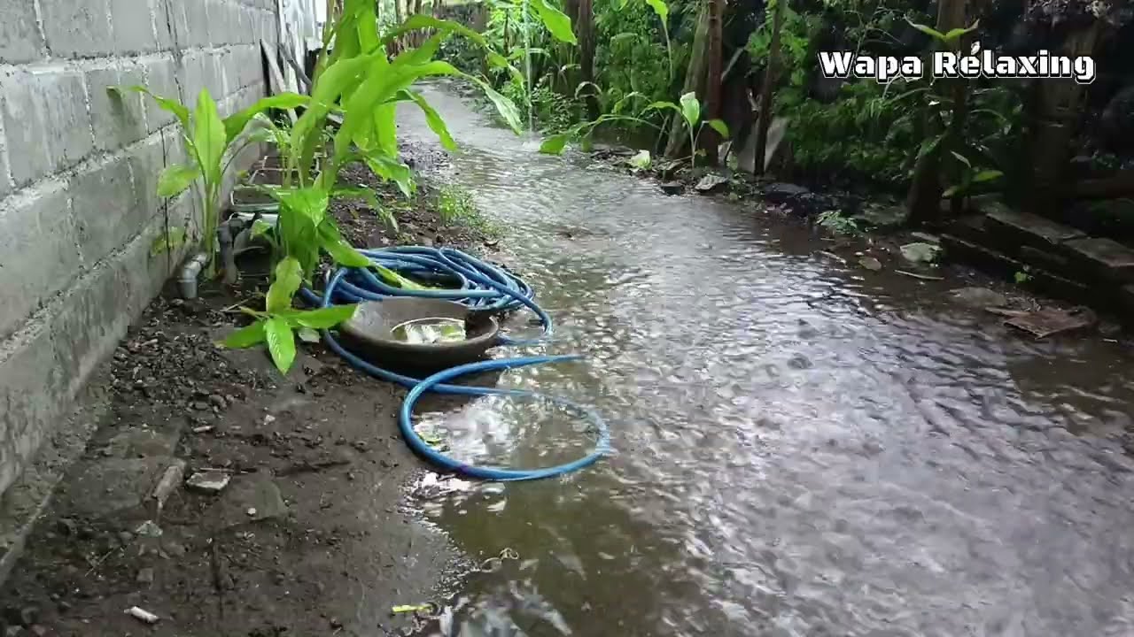 Relaxing Rain & Flowing Water Sounds 30 Minutes Natural Ambience