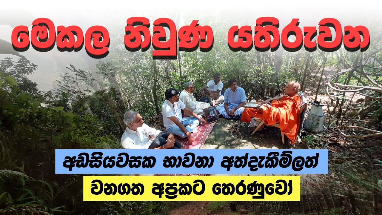 මෙකල නිවුණ යතිරුවන (අඩසියවසක භාවනා අත්දැකීම් ලත් වනගත අප්‍රකට තෙරණුවෝ)