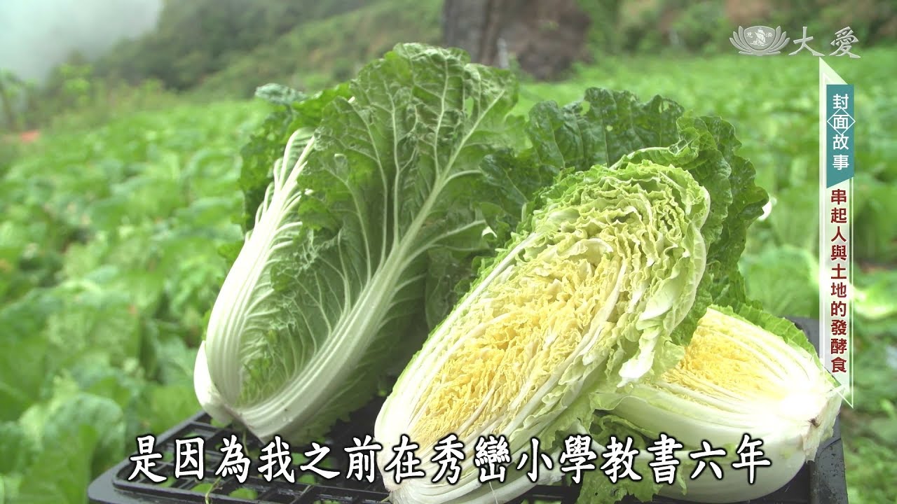 【蔬果生活誌】20190117 - 著迷傳統發酵食