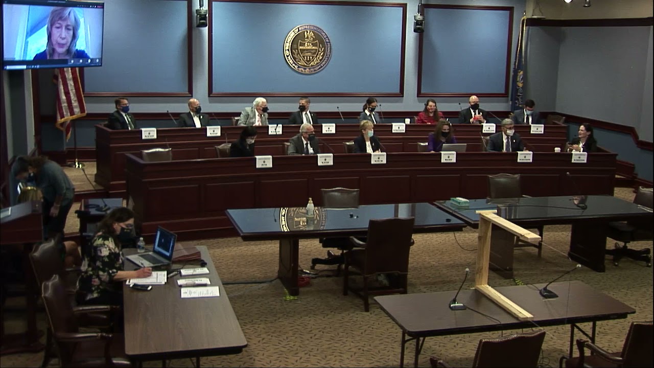 Full Hearing on Fetal Experimentation: PA House Health Committee (David Daleiden, Dr. Kathi Aultman)
