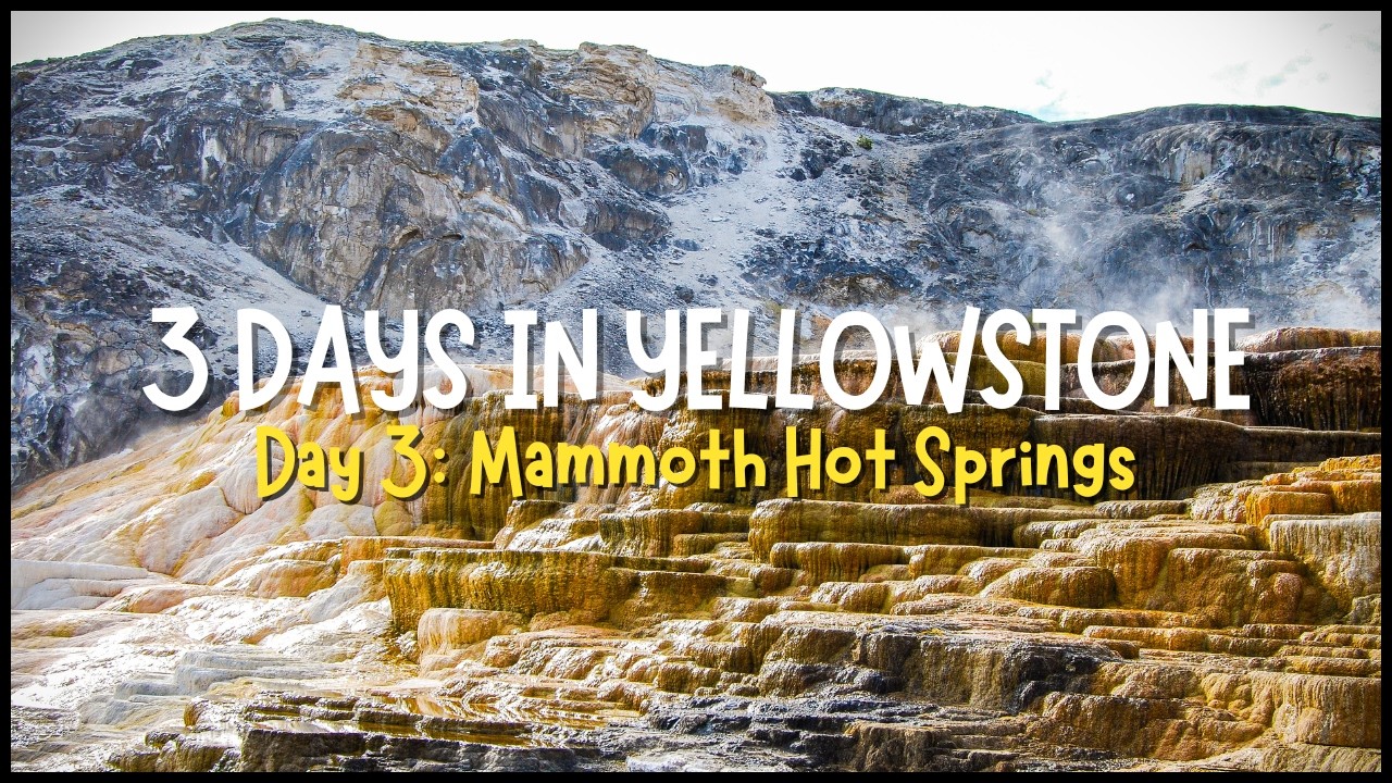 3 Day Yellowstone Itinerary - Day 3 | Lamar Valley, Mammoth Hot Springs, and Norris Geyser Basin
