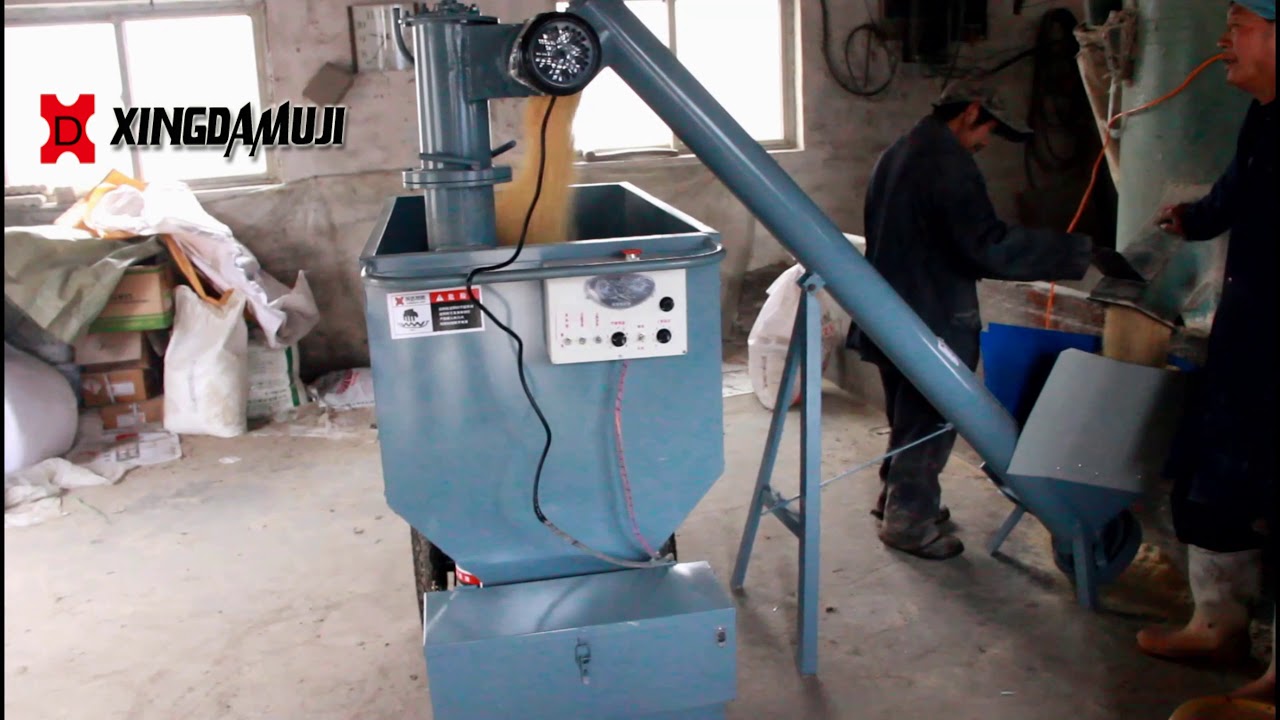 Pig farm automatic feeding system.