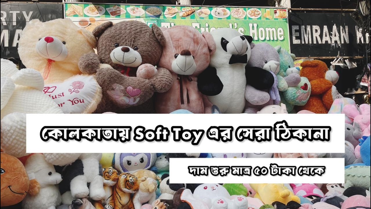 Soft Toy market in Kolkata 🧸 | Cheapest teddy bear | Soft toy starts from 50 rupees  #softtoys