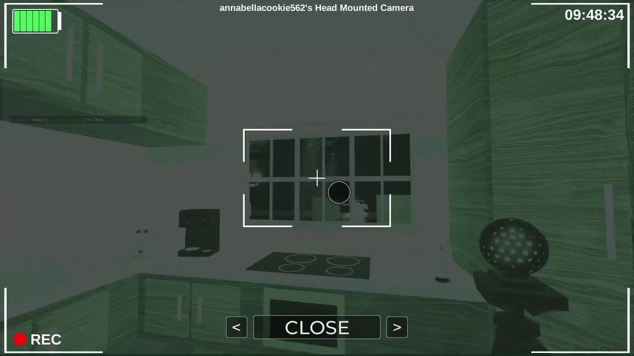 Roblox with sister
