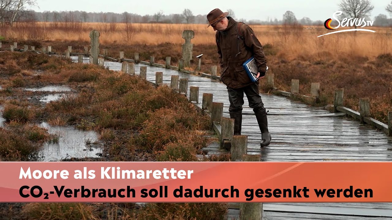 Moore als unsichtbare Klimaretter // Wie die Wiedervern&auml;ssung von Mooren den CO₂-Verbrauch senkt