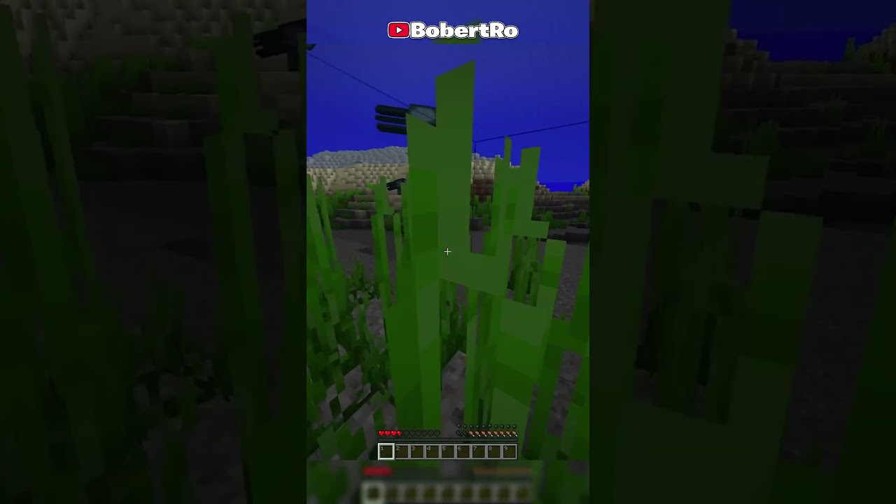 Minecraft, dar daca faci asta te vei SUFOCA #shorts #minecraft #bobertro