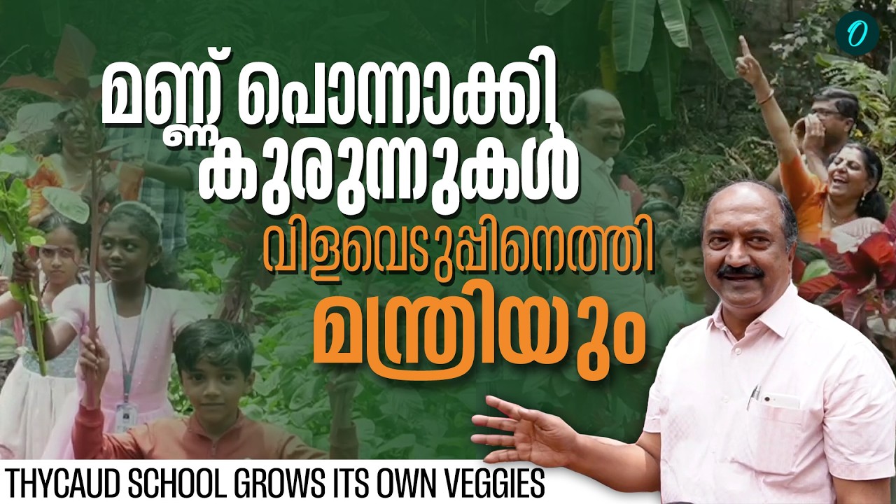 75 സെന്റ് സ്ഥലത്താണ് കൃഷിയിടം; മാതൃകയാക്കാം ഈ കുരുന്നുകളെ | Gov Model HS LPS Thycaud