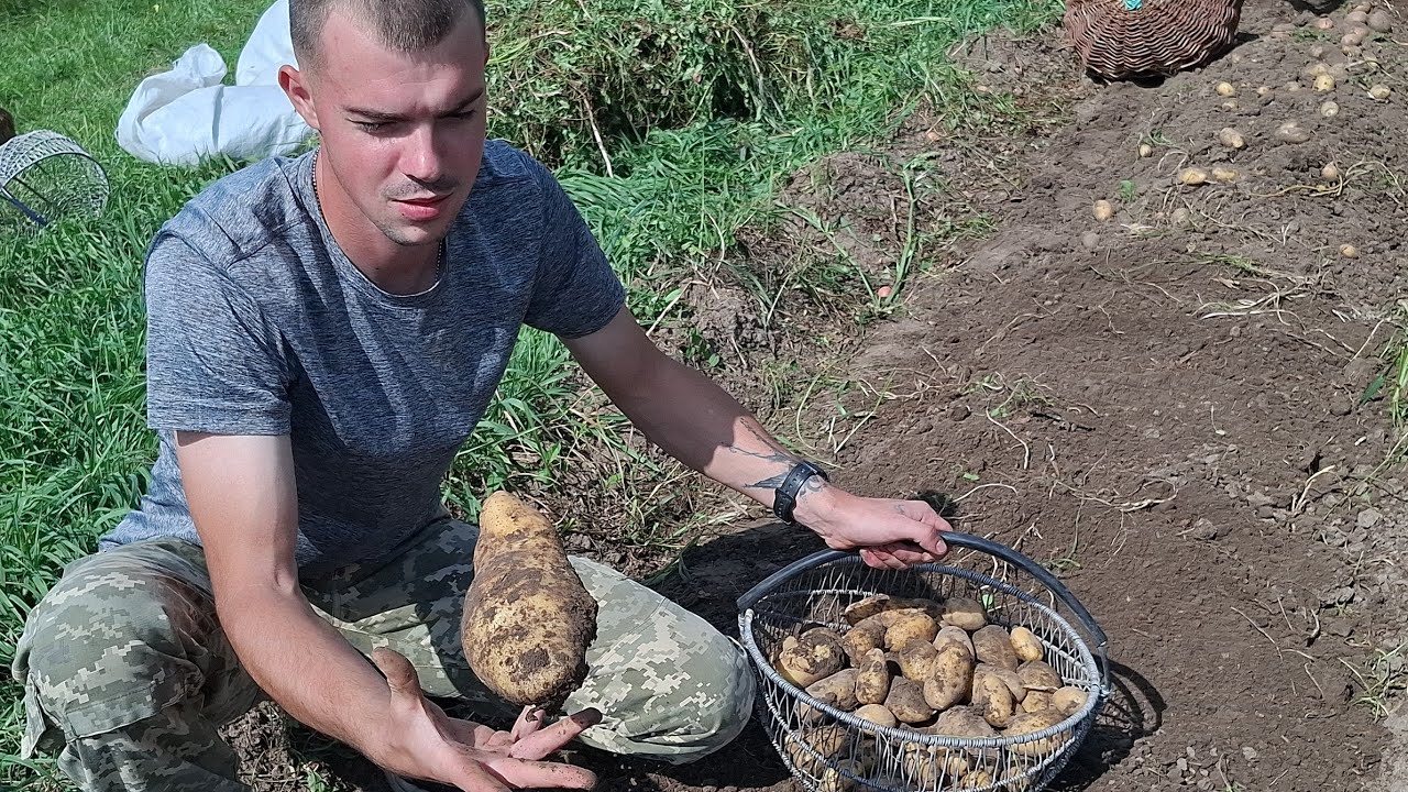 Останній Коп 🥔🥔 Гранада просто 🔥Чому в Неділю❓️Движуха   по Шелудьківські,повен двір‼️