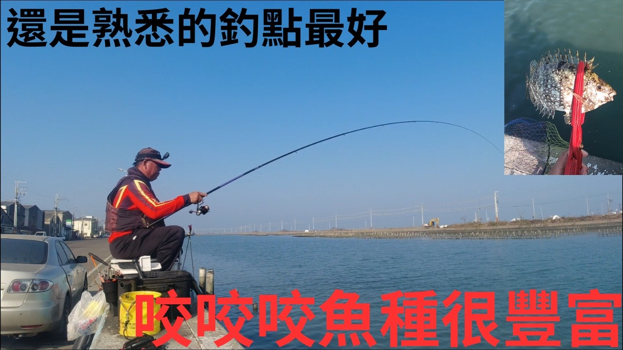過年後第一釣|熟悉的釣點總是有著很豐富的魚種 #臭肚 #烏魚 #赤翅仔 #豆仔魚  #獨家練餌   #王奇手做浮標 #DK釣具 #志成專業誘餌  #fishing  #クロダイ #감성돔 #ตกปลา