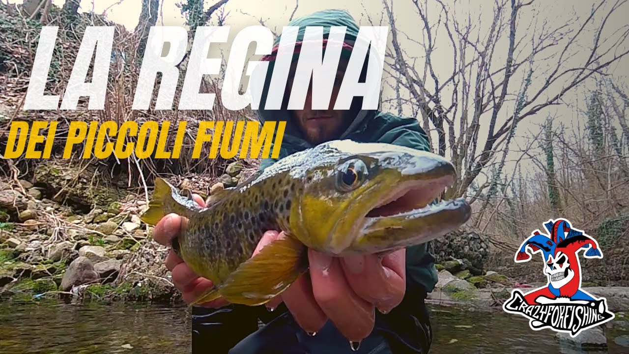 La REGINA dei piccoli fiumi | Apertura Trota