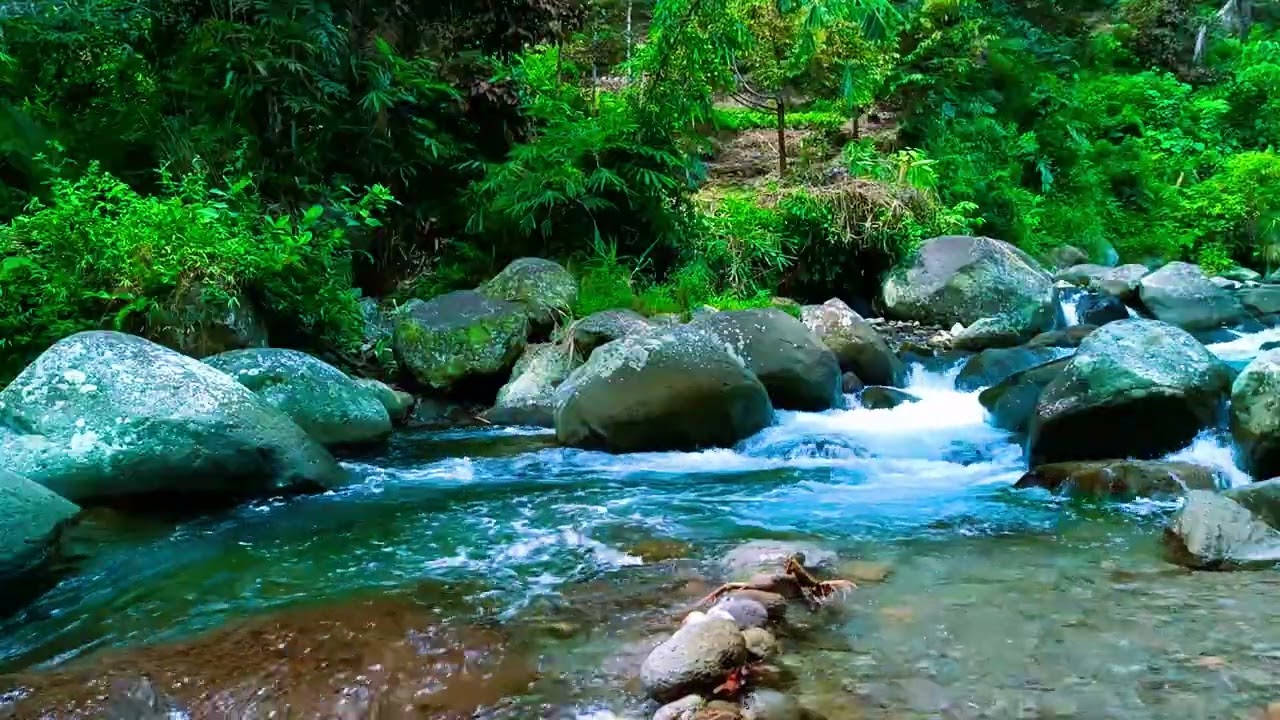 4K HD Tranquil ASMR River Stream Ambience for Deep Relaxation and Night Sleep