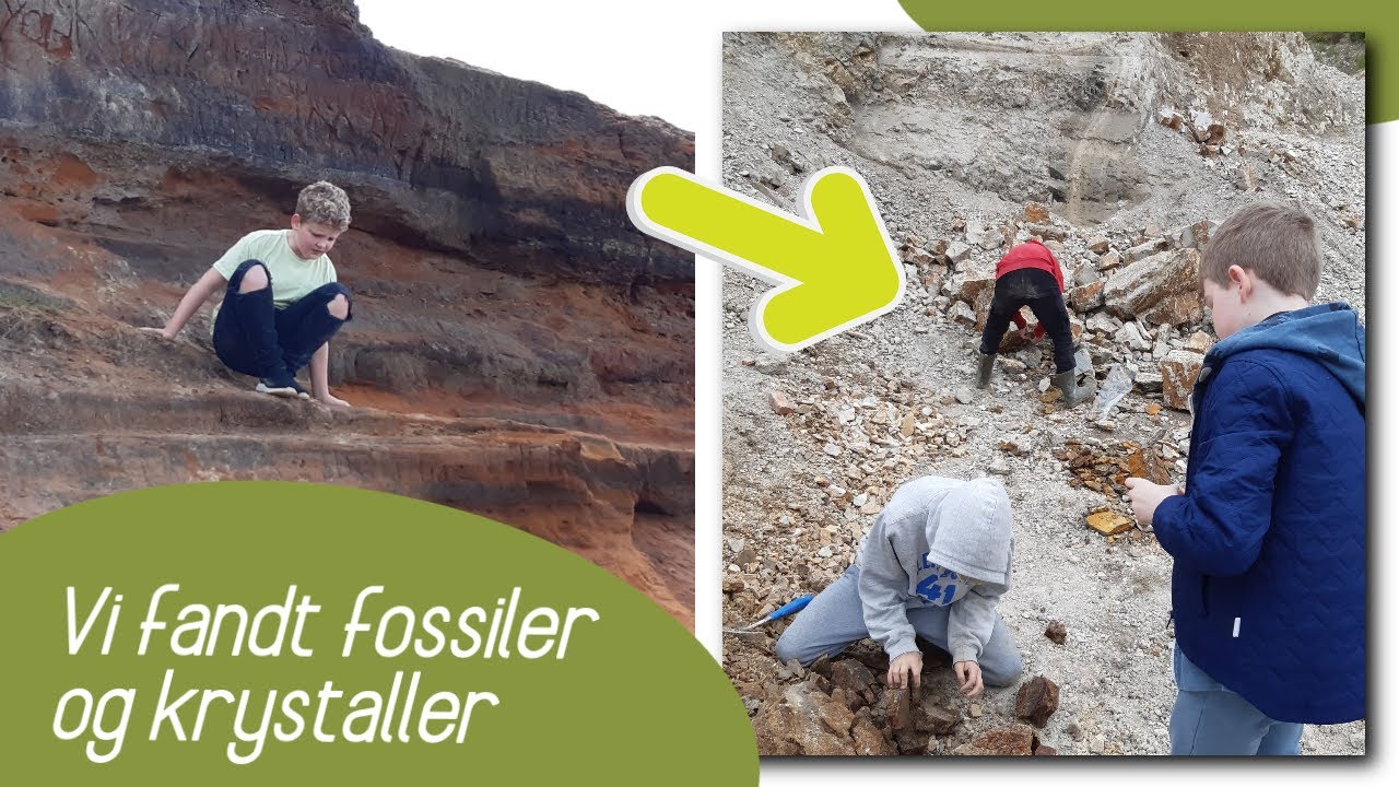 Vi fandt FOSSILER og KRYSTALLER I Danmark - Lisbeths hjemmeskole
