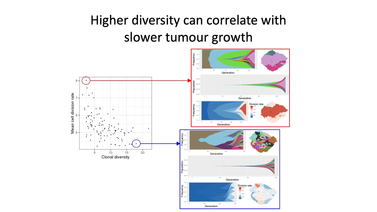When, why and how tumour clonal diversity predicts survival